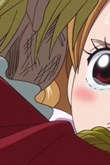 The End of the Adventure! Sanji's Resolute Proposal!