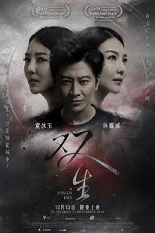 A Stolen Life poster