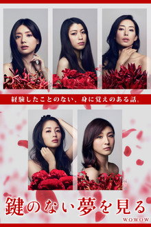 Kagi no nai Yume wo Miru poster