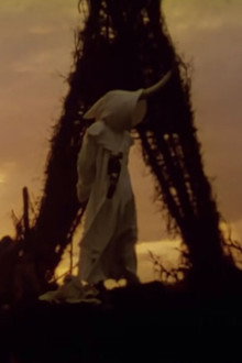 The Rites Of Mu poster