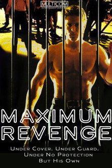 Maximum Security poster