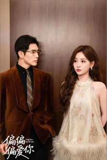 偏偏偏爱你 poster