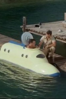 SOS Dolphin