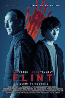 Flint poster