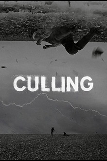 Culling poster