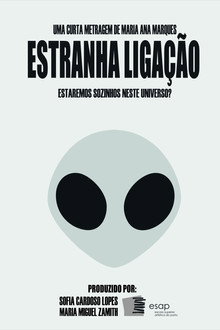 Estranha Ligação poster