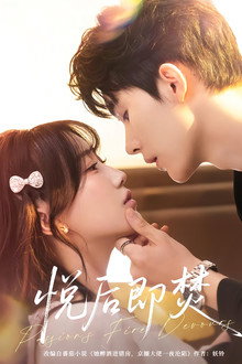 Burn After Bliss poster