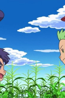 A Surface to Air Tag Battle Team!