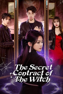 The Secret Contract of the Witch poster
