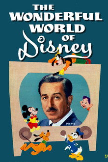 The Wonderful World of Disney poster
