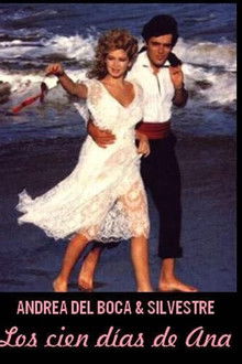 Los cien días de Ana poster