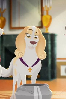 A Royal Dogs Pain