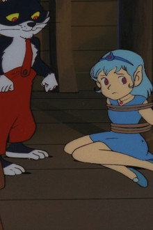 Release the Abricotine princess