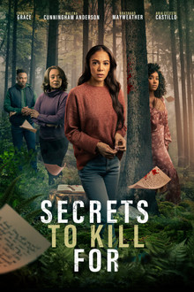 Secrets to Kill For poster