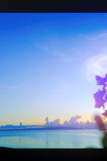 Okinawa: A World in Bloom