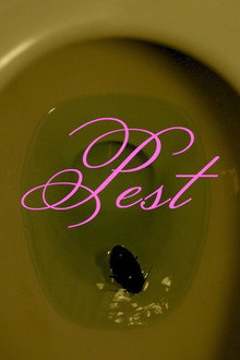 Pest poster