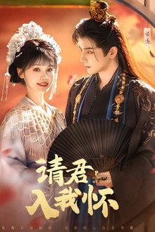 Please Come into My Heart poster