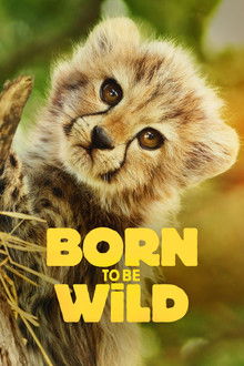 Born to Be Wild poster