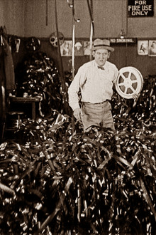 The House of Flickers poster