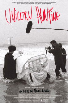 Unicorn Hunting poster