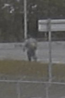 Alaska Serial Killer