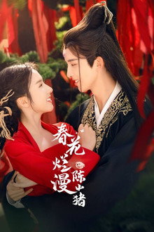 春花烂漫陈小猪 poster