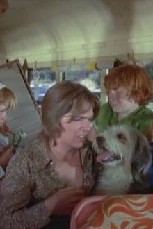 But the Memory Lingers On