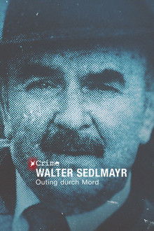 STERN CRIME: Walter Sedlmayr - Outing durch Mord poster