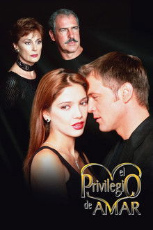 El Privilegio de Amar poster