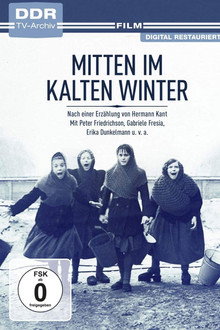 Mitten im kalten Winter poster