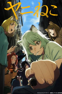 Chainsmoker Cat poster