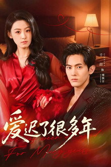 爱迟了很多年 poster