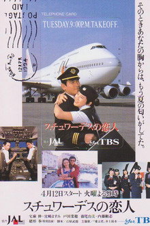 Stewardess's Sweetheart poster