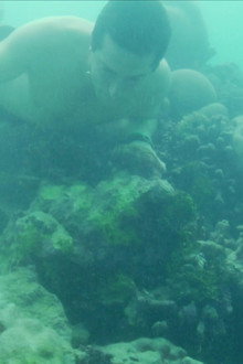 Castaway (2)