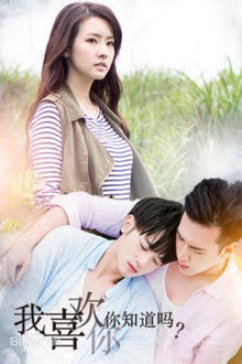 I Like You, You Know? poster