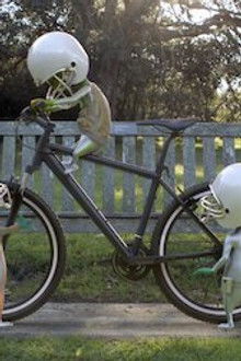 Bicycle/Gymnastics/Camping