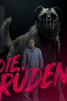 Die Rüden poster