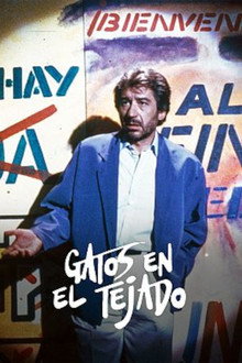 Gatos en el Tejado poster