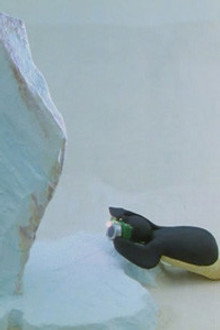 Pingu and the Camera