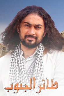 طائر الجنوب poster