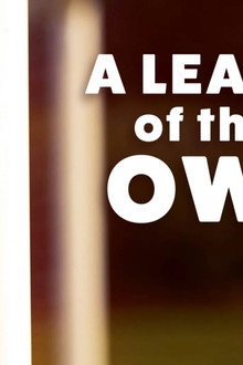 A League of Their Own