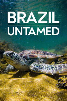 Brazil Untamed poster