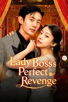 Lady Boss's Perfect Revenge poster