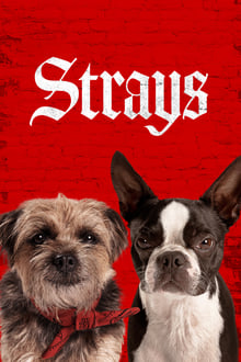 Watch Movies Strays (2023) Full Free Online