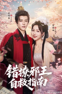 错撩邪王自救指南 poster