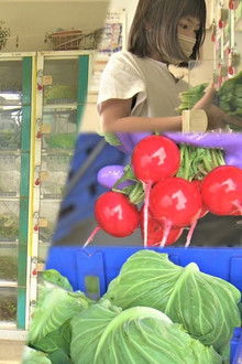 Vegetable Vending Machine in Nerima, Tokyo
