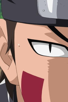 Kiba's Determination