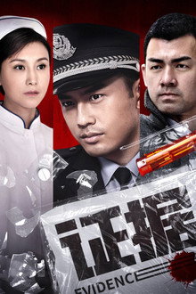 证据 poster