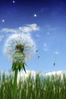 How Did We Get Here?