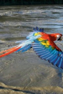 Earthflight: South America